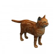 Kedi v1 3d model