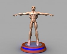 外侨 3d model