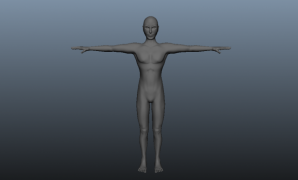 corpo umano 3d model