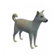 Canaã Dog v1 3d model