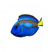 Blue Tang v1 3d model