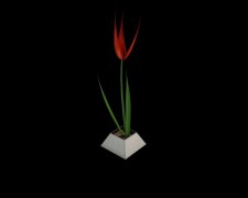 flower 3d model