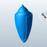 Florida Cone Shell v1  3d model