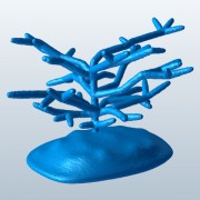 Staghorn Coral v1  3d model