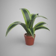 House Plant 01 3d model