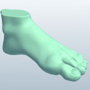 foot v1  3d model