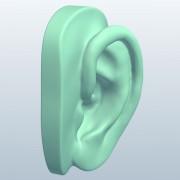 ear v1  3d model