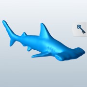 Hammerhead Shark v2  3d model