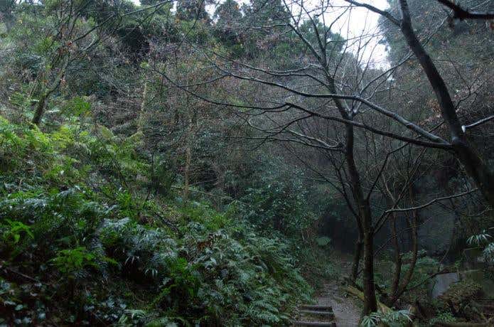 今にも雨が降りそうな山