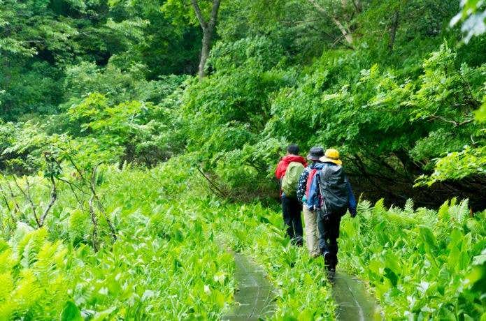 帽子を被って歩く登山者