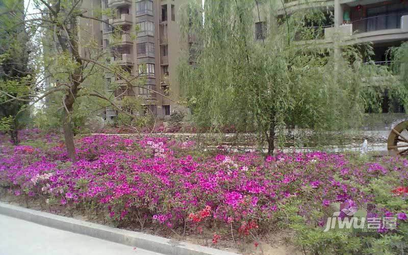 横道住宅小区实景图图片