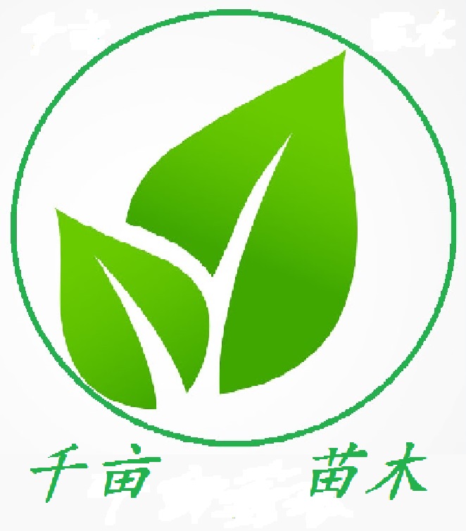 定西绿森苗木种植农民专业合作社logo