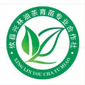 攸县兴林油茶育苗专业合作社