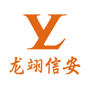 上海龙翊信息安全技术有限公司logo