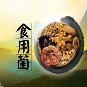 金融助力“食用菌” 焕发乡村新“蘑”力