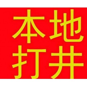 南京老山珍珠泉打井施工 钻井 基坑降水 打岩石井 机钻深水 技术精湛