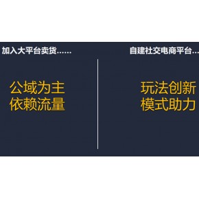 七人拼团风暴：电商新蓝海，裂变式增长秘籍？