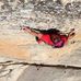 Jacob Cook - @jacobcookclimbing Instagram Profile Photo