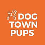 lisa pennington - @dog_town_pups Instagram Profile Photo