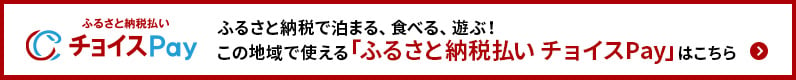 ふるさと納税で泊まる、食べる、買う遊ぶ！この地域で使える「チョイスPay」はこちら