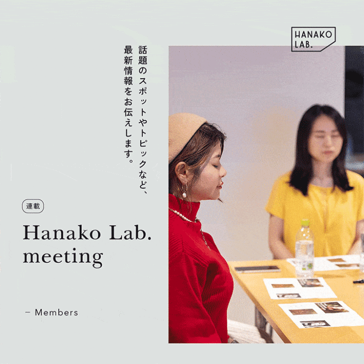 Hanako Lab. meeting