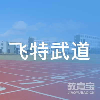 丹凤飞特武道logo