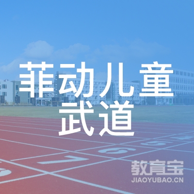 苏州菲动儿童武道培训logo