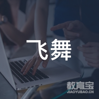 武冈飞舞艺术培训logo