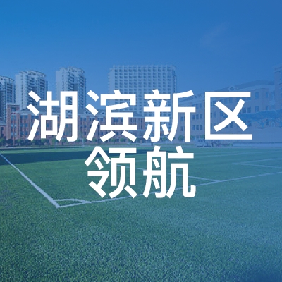 宿迁领航职校logo