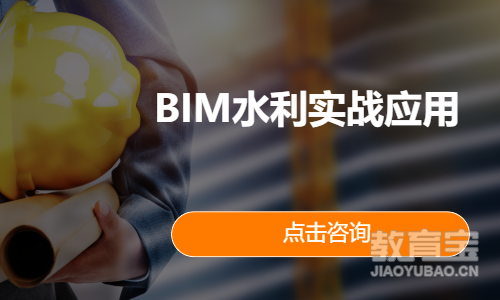 BIM水利实战应用