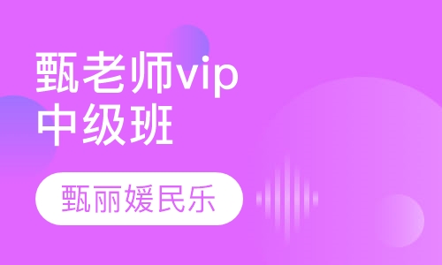 甄老师vip中级班