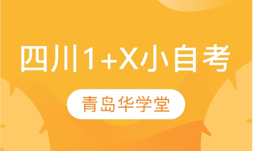 四川1+X小自考