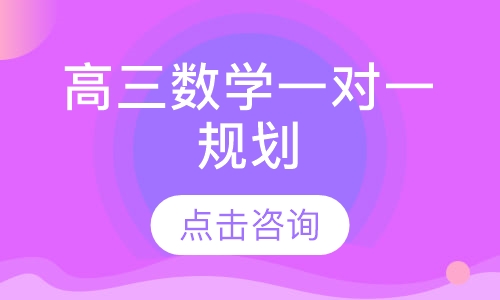 高三数学一对一规划