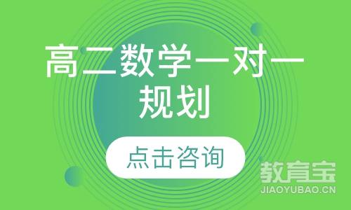 高二数学一对一规划