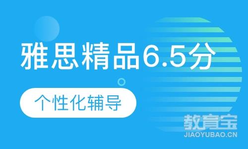 雅思精品6.5分班