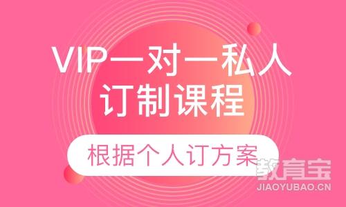 VIP一对一私人订制