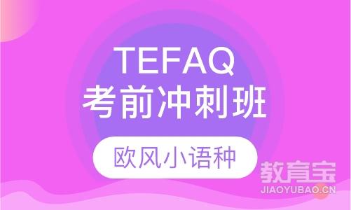 TEFAQ考前冲刺班