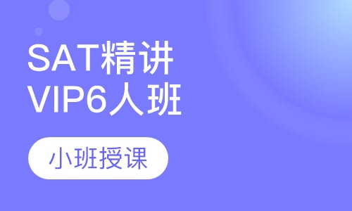 SAT精讲VIP6人班