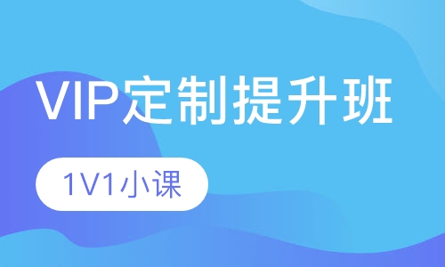 VIP定制提升班