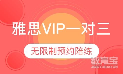 雅思VIP一对三