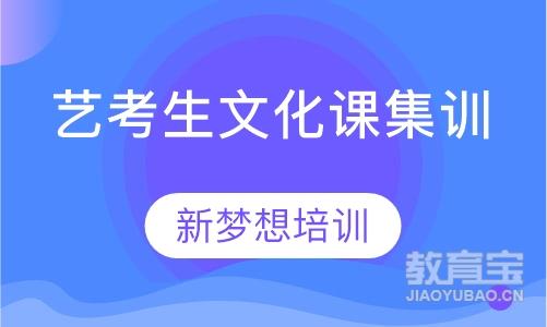 艺考生文化课集训