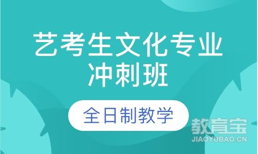 社会艺考生文化课专业冲刺班