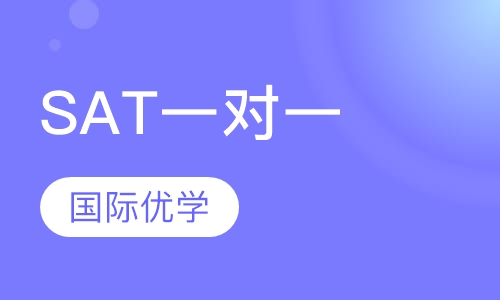 SAT 一对一