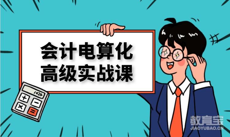 会计电算化高级实战课