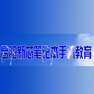 合肥新芯教育logo