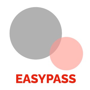 EASYPASS雅思集训保中营logo