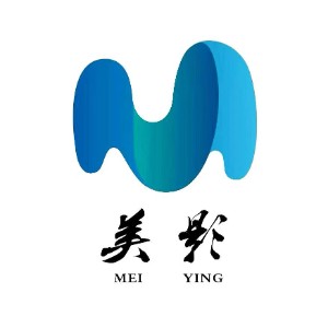 西安美影教育logo