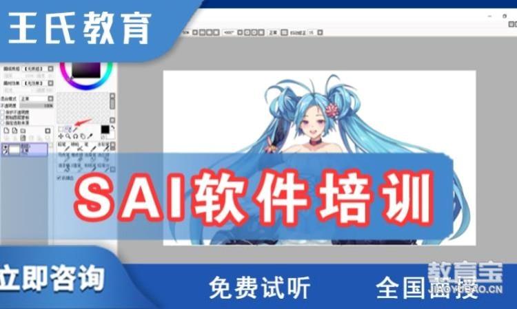 sai软件培训