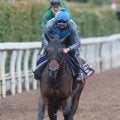 日曜メインレースの注目激走馬…中京１１Ｒチャンピオンズカップ・Ｇ１