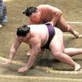 1敗死守の豊昇龍「同期に負けたくない」